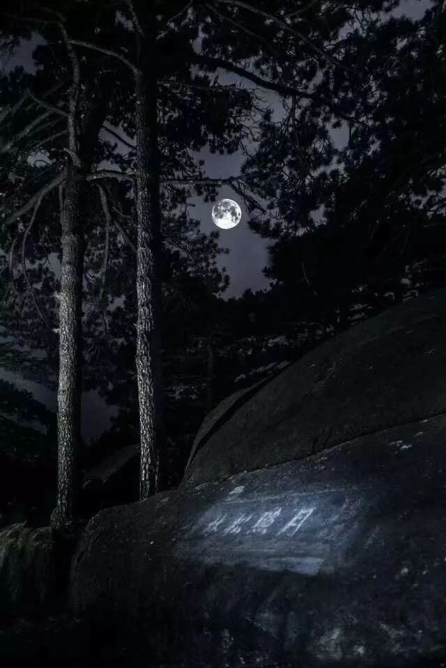 月圆中秋 | 浪漫赏月地:庐山月照松林 月圆中秋 | 浪漫赏月地:庐山月照松林